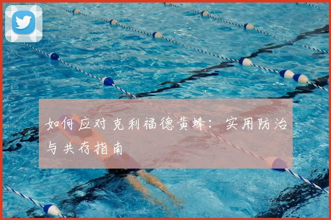 如何应对克利福德黄蜂：实用防治与共存指南
