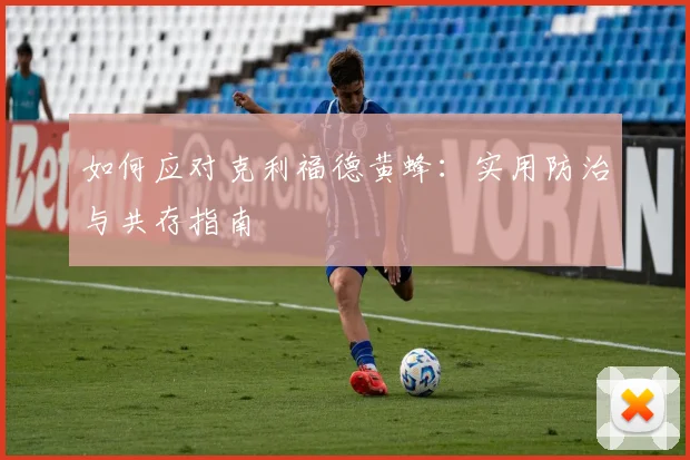 如何应对克利福德黄蜂：实用防治与共存指南